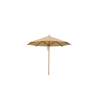 Yadira Market Parasol