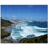 12'' x 12'' Satin Ceramic Decorative Mural