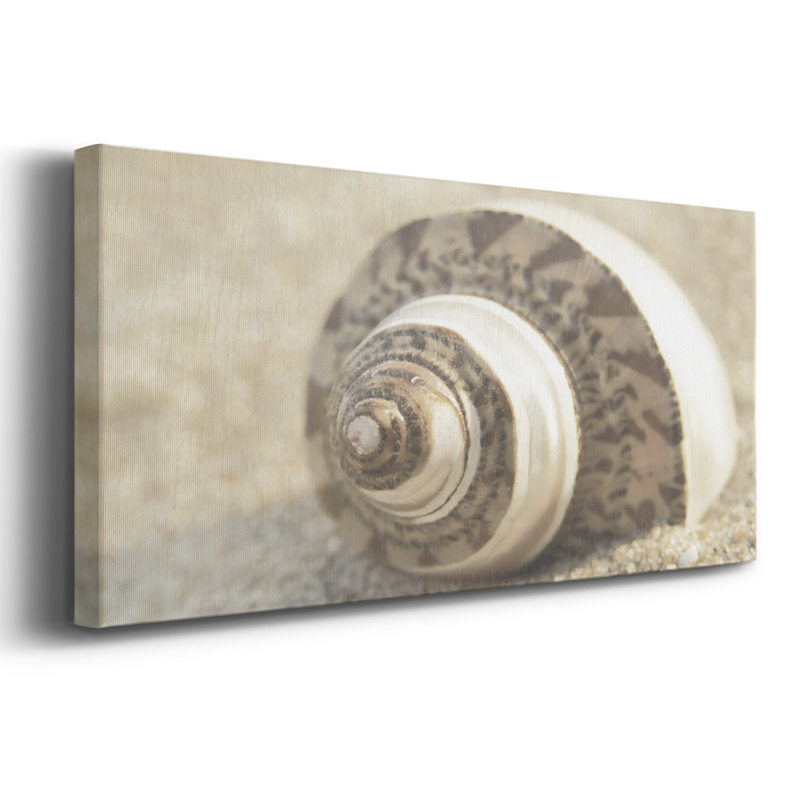 Calming Shell II - Toile tendue avec châssis - Prêt à accrocher, H 16 po x l 40 po