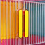 Happy Color