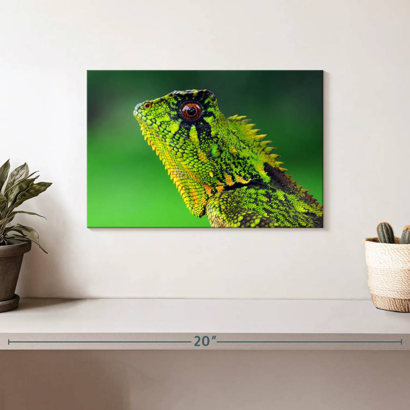 Exotic Lizard, 8" H x 12" W