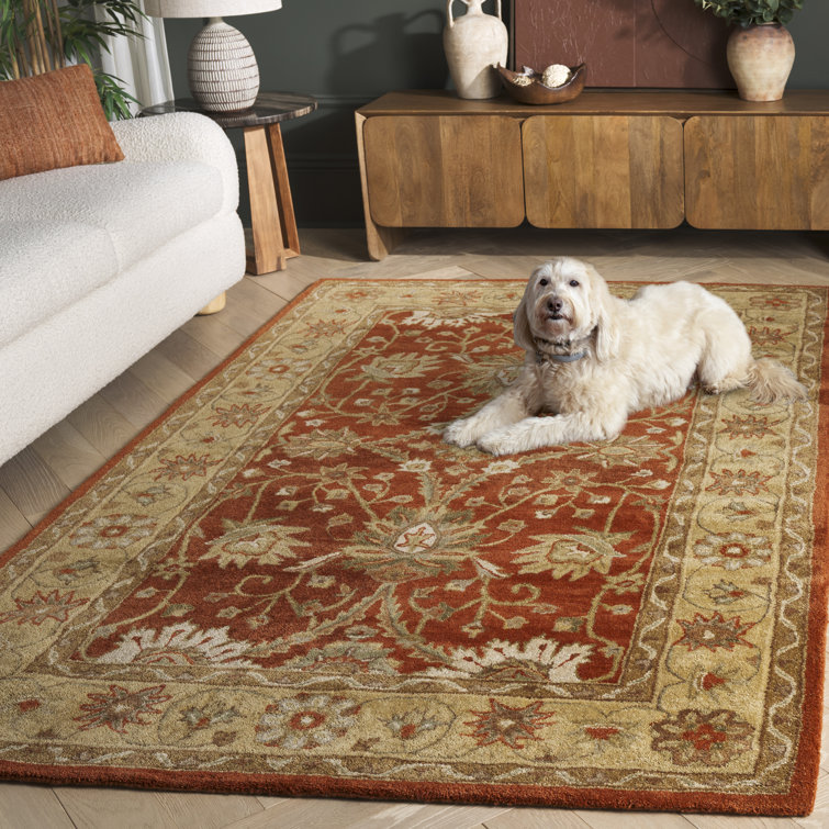 Dunbar Hand Tufted Wool/Cotton/Latex Oriental Rug in Gold/Rust