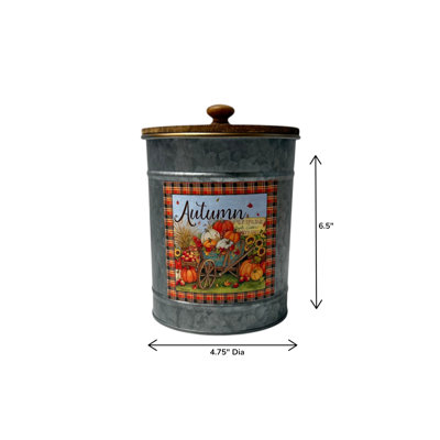 Galvanized Harvest Canister w/Lid, 4 Asstd.