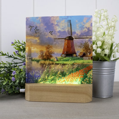 Tulip Farm LED Nightlight
