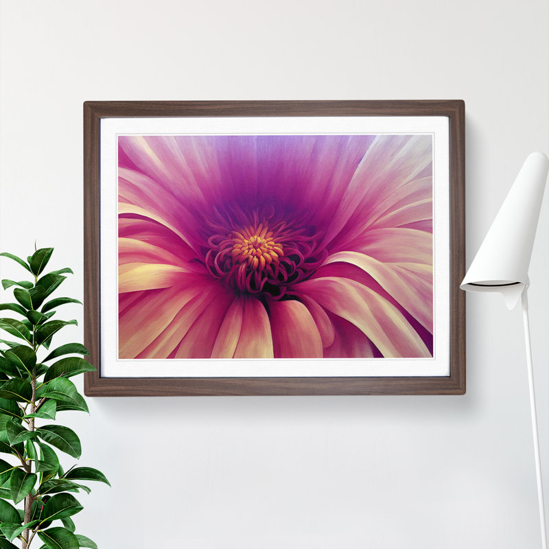 Stunning Chrysanthemum Flower - Single Picture Frame Print, 25cm H x 34cm W x 2cm D, Walnut
