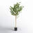 LeeRoy 6' Faux Birch Tree in Pot