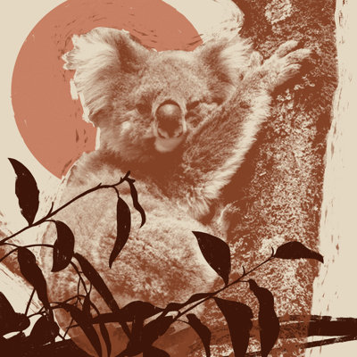 Pop Art Koala I by Jacob Green - Wrapped Canvas Print
