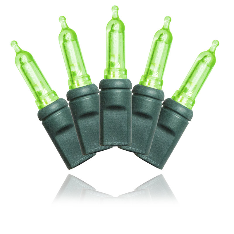 Outdoor 70 - Bulb 275'' Plug-in String Lights String Light, Frosted Green