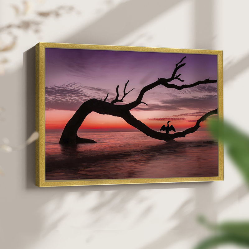 Photography Study Sunset Beach -Framed Print - Restickable