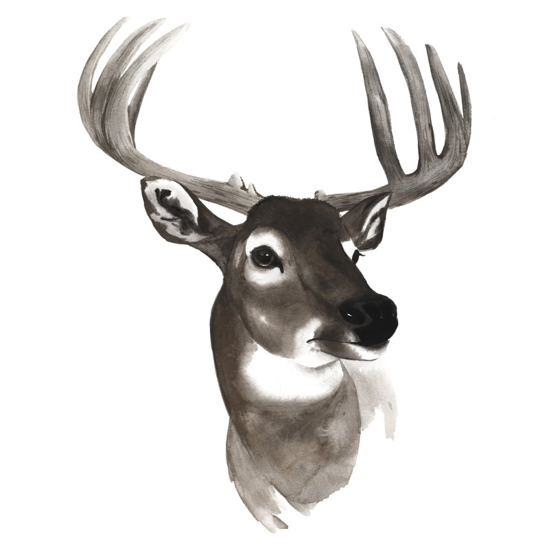 Western Animal Study VI par Grace Popp - peinture sur toile tendue, H 36 po x l 36 po x P 1,25 po