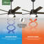 Ventilateur de plafond standard à 5 pales 52 po avec chaîne de traction et ensemble d'éclairage inclus Anslee-71202833