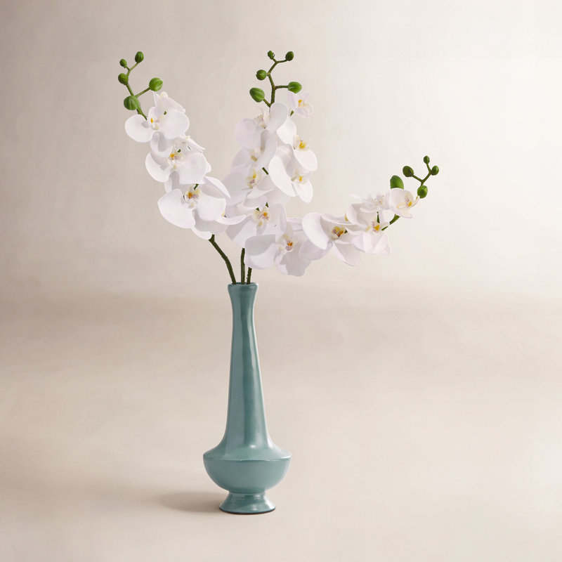 Phalaenopsis 27 po Natural Touch 