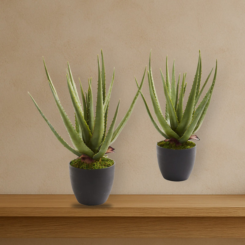 Aloe Artificial Plant (Set of 2)