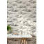 Papier peint abstrait gris avec nuages-1397022867