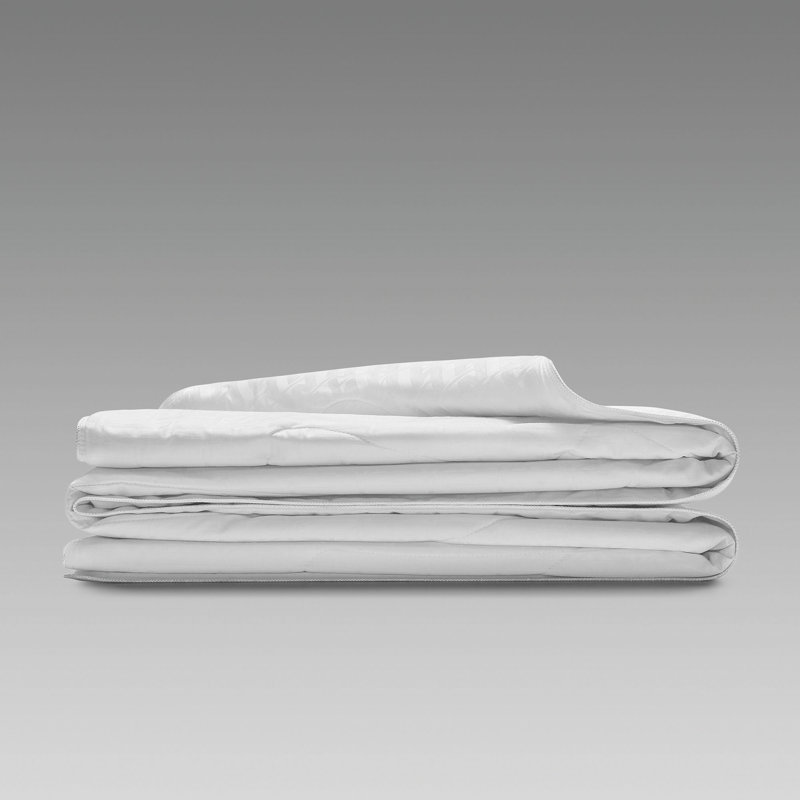 Selena Light Silk Down Alternative Comforter, Twin