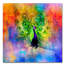 Vidur «Jazzy Peacock», reproduction sur toile tendue-22076302