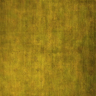 Indoor Rug