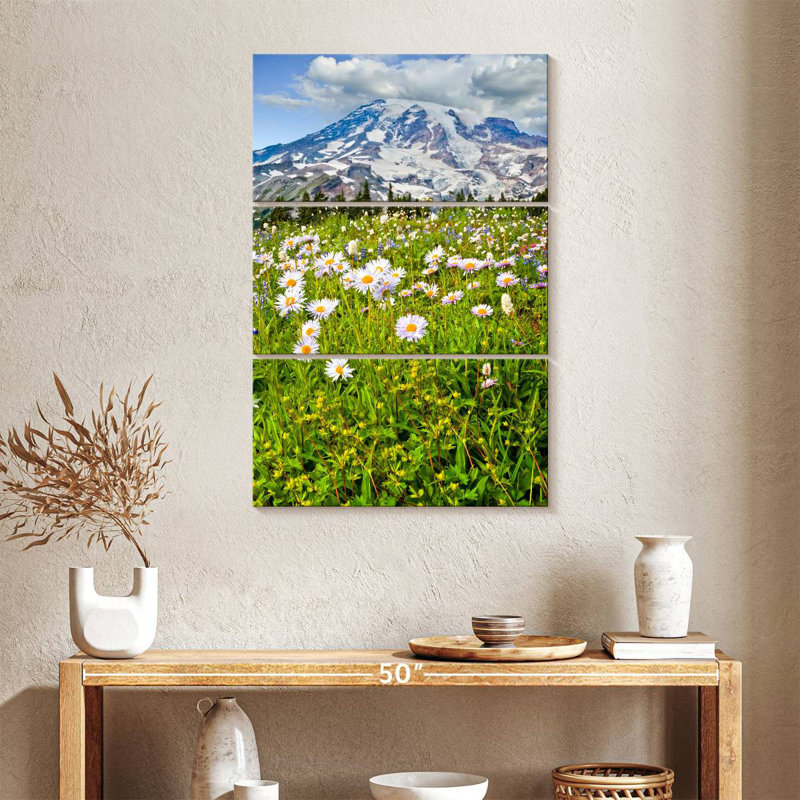 Alvord Mount Rainier Meadow