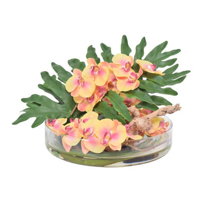 Orchid Arrangement in Vase