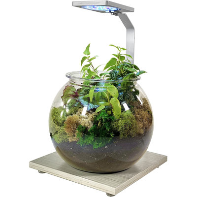 1.1 Gallons Round Fish Bowl