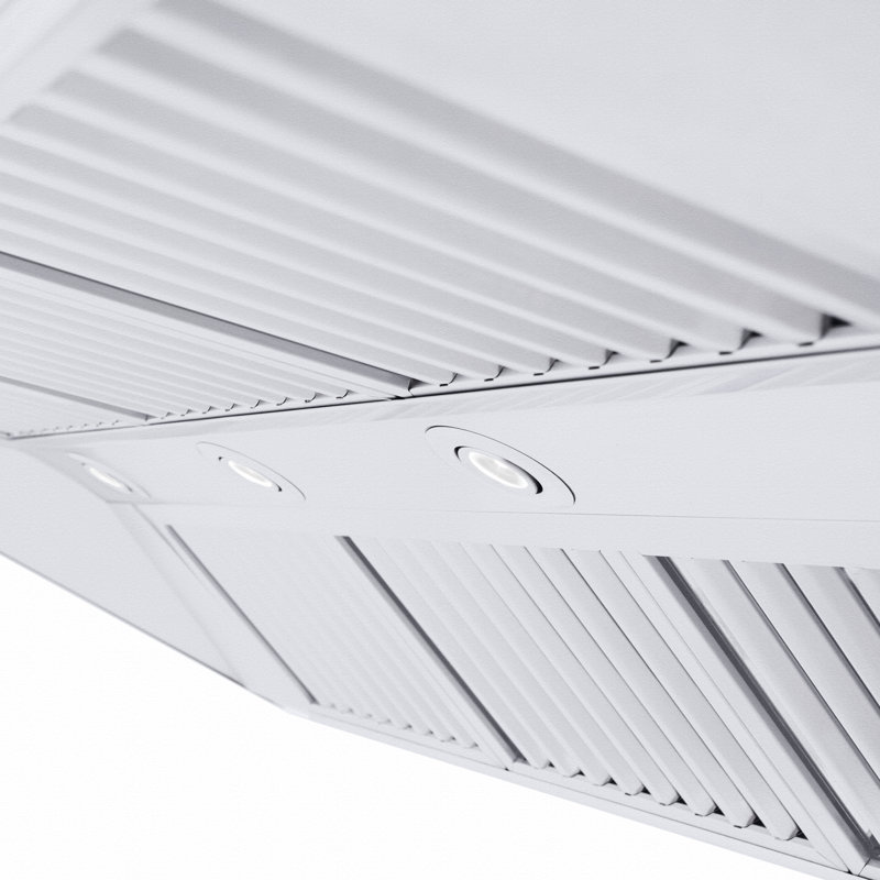 48" Professional Ducted Wall Mount Range Hood in Stainless Steel