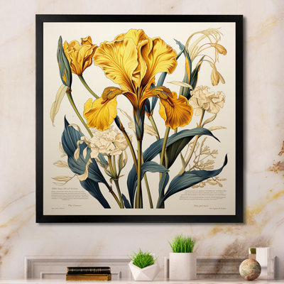 Iris jaune, illustration rétro