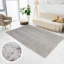 Anujan Solid Colour Hand Woven Area Rug-637365908