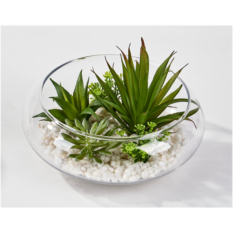 Vaisselle succulente Agave Garden