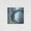 «Blue Circles II» par Linda Woods-227695662