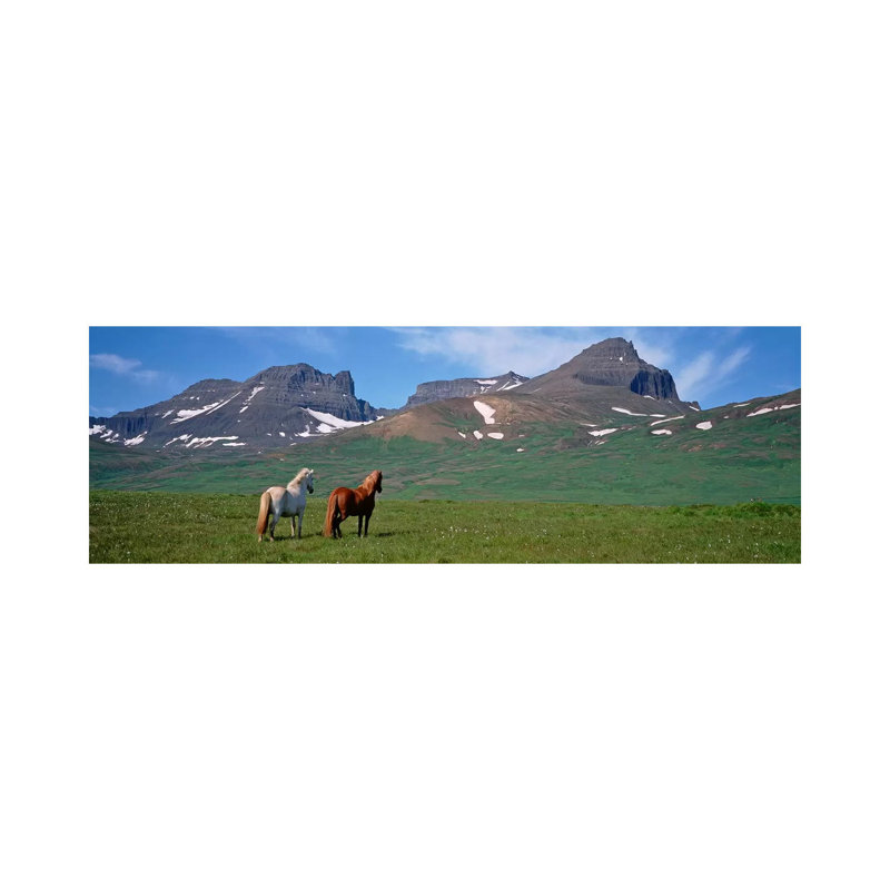 Horses Standing And Grazing In A Meadow, Borgarfjordur, Iceland #3 - Wrapped Canvas Panoramic Print
