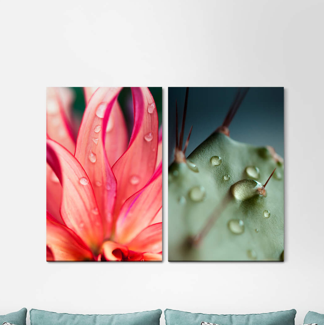 2-tlg. Leinwandbilder-Set - Grafikdruck „Orchid Summer Flower Cactus Raindrops Water Drops”