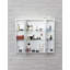 Sofia 700mm W 757mm H Surface Medicine Cabinet Mirror 6 Fixed-15219358