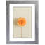 Single Picture Frame - Frames Included: 6-79322732