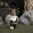 Garden Gnome with Shovel and Plant Statue,