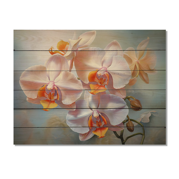 Red Barrel Studio® Peach Orchids Romantic Impression IV On Wood Print ...