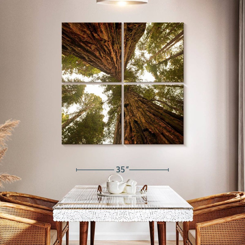 Alvord Towering Sequoia Trees