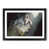 Black Framed selected