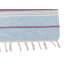 Townes Oriental Flatweave 57cm X 140cm Area Rug