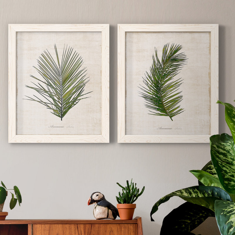 Palm Botanical I - Ensemble de 2 reproductions d'art, H 24 po x l 36 po x P 1,5 po, Toile blanche encadrée, Pas de tapis