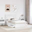  Bed Frame With Drawer Engineered Wood-408878952-413379868