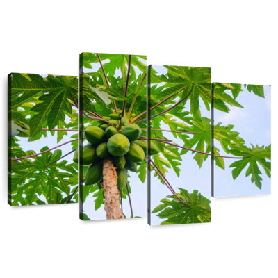 Harnek Papaya Tree