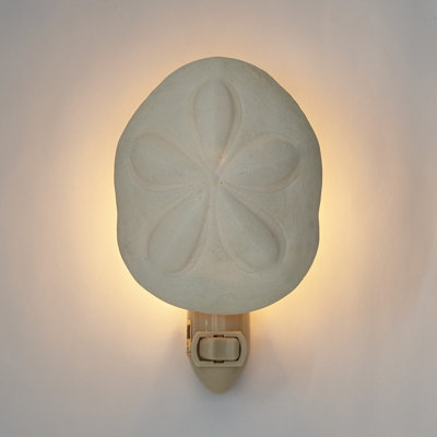 Sea Biscuit Boxed LED Night Light