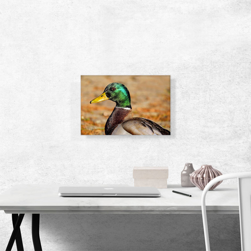 Mallard Home Decor - Reproduction de photo sur toile tendue, H 12 po x l 18 po x 1,5 po
