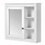 Armoire à pharmacie de salle de bain avec miroir
