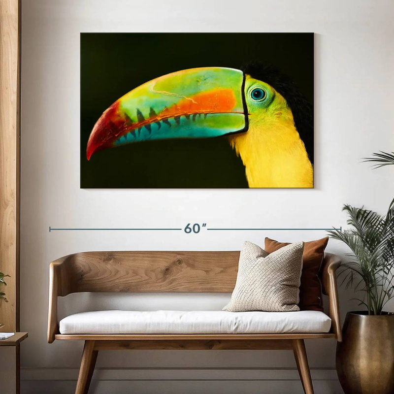 Bec long Brampt Toucan, H 32 po x l 48 po