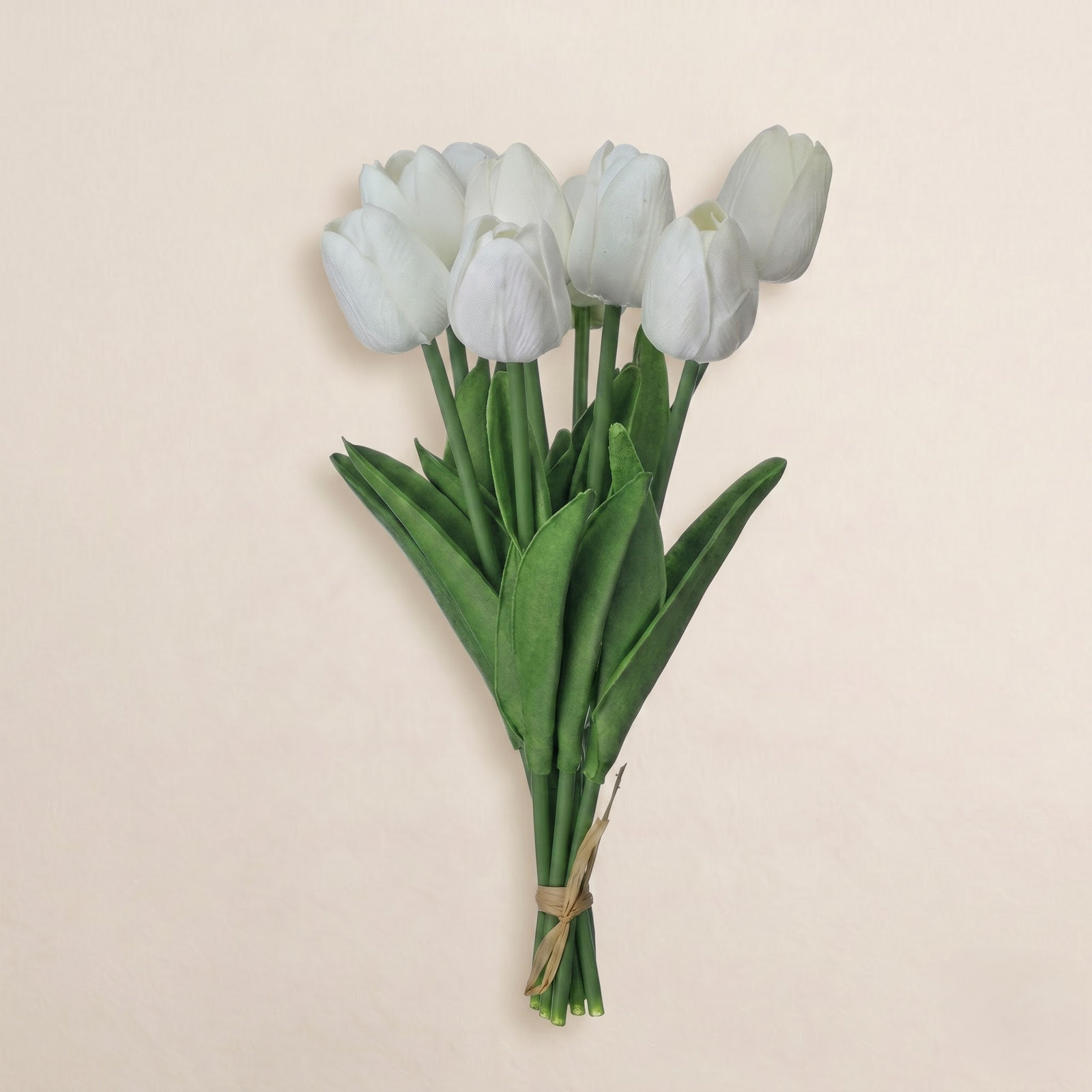 Carlisa Dutch Tulip Stems, White