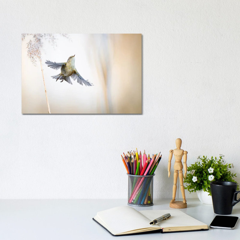 Ethereal by Mateusz Piesiak - Wrapped Canvas Print, 20.32cm H x 30.48cm W x 1.905cm D