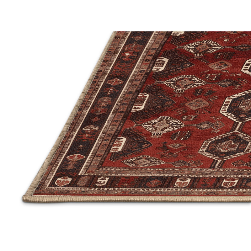 Machine Washable Turkish Brown Area Rug, Rectangle 2' x 3'