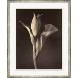 Sepia Flowers 2 Print by Bespoke By Baker
