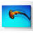 Ocean Jellyfish - Wrapped Canvas Art Prints-957142480
